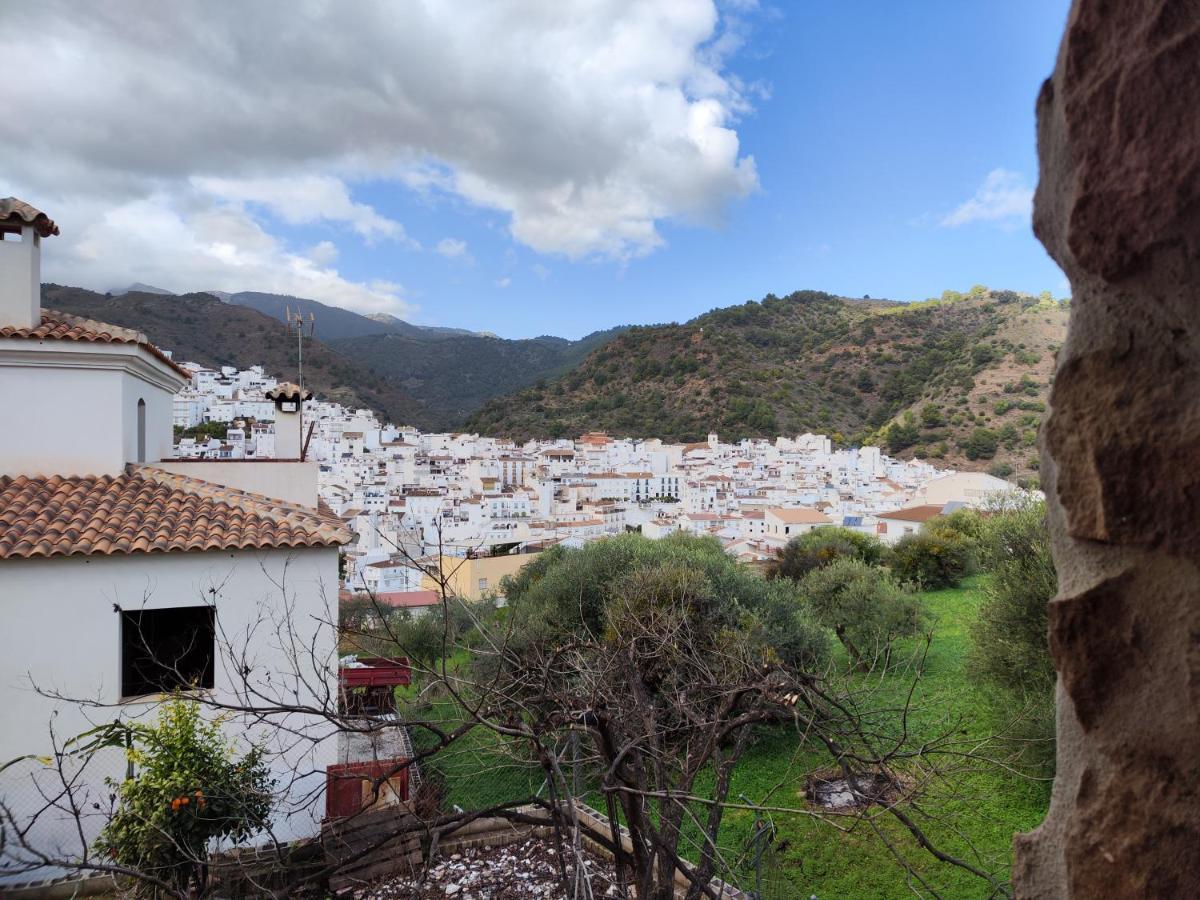 Casa Rural Sierra De Las Nieves 톨록스 외부 사진